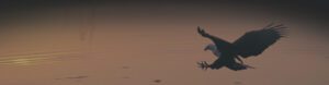 Contact Header Image
