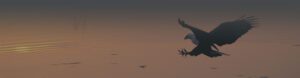Contact Header Image